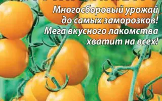 ФРУКТАРИНКА