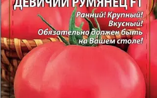 ДЕВИЧИЙ РУМЯНЕЦ