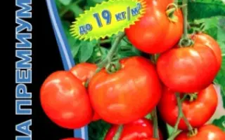 СЫТЫЙ ХОЗЯИН