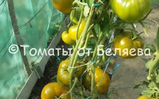 ИРЛАНДСКИЙ ЛИКЁР