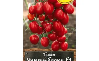 ЧЕРРИБЭРРИ