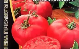 ТРЕТЬЯКОВСКИЙ