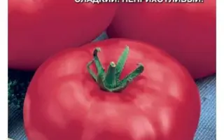 БАКИНСКИЕ 622