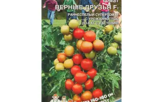 ВЕРНЫЕ ДРУЗЬЯ