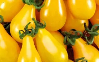 МЕДОВЫЙ КАСКАД