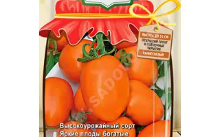 ЗОЛОТОЙ АГАТ