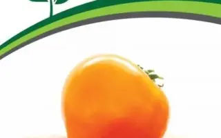 ЗОЛОТАЯ МИЛЯ