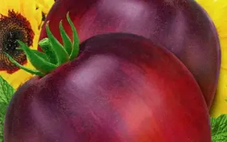 ФИОЛЕТОВОЕ СЕРДЦЕ