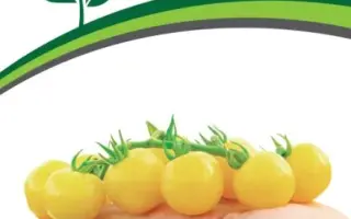 ДОКТОР КЭРОЛИН