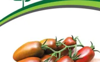 БУРЫЙ САЛАДЕТ