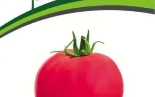 МАЛИНОВЫЙ СВЕТ