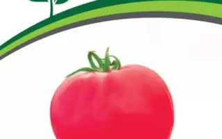 МАЛИНОВЫЙ МУСС