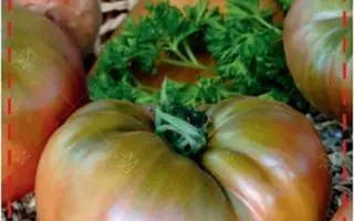 ШОКОЛАДОБИФ