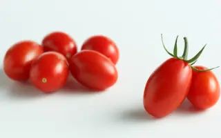 СКАРЛЕТ СТАР