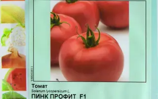 ПИНК ПРОФИТ