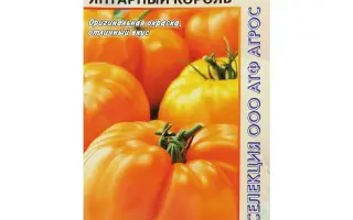 ЯНТАРНЫЙ КОРОЛЬ