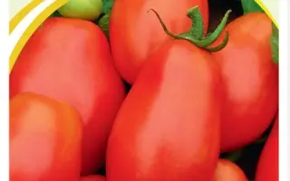 ЗАВОЛЖСКИЙ