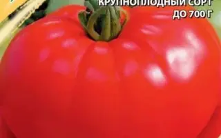 БАБУШКИНА РАДОСТЬ