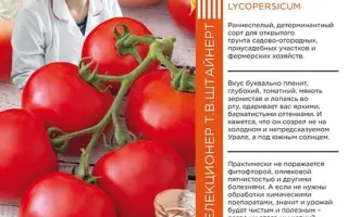 УРАЛЬСКИЙ ДАЧНИК