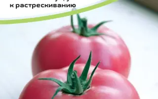 ПИНК НОСТАЛЬЖИ