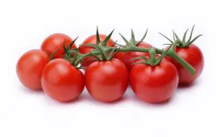 КОСМОПОЛИТ