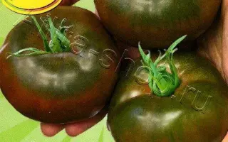 ЧЕРНЫЙ БУМЕР