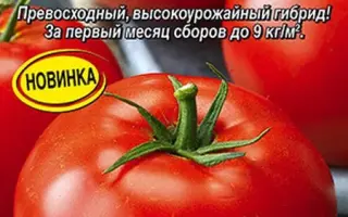 САЛТАН