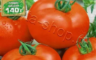 ЛИКОПИНЧИК