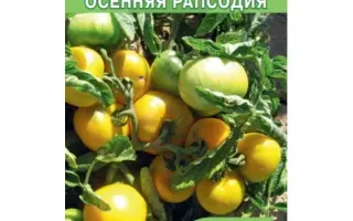 ОСЕННЯЯ РАПСОДИЯ