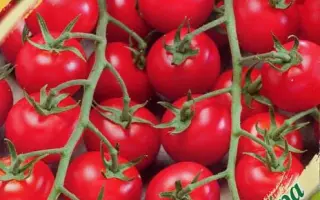 КАСКАД РЯБИНОВЫЙ