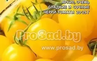 КАСКАД СОЛНЕЧНЫЙ