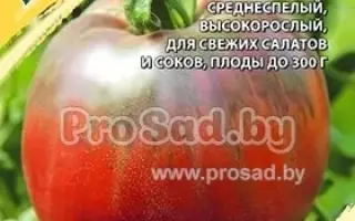 КУБЫШКА ПУРПУРНАЯ