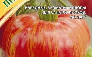 ПОЛОСАТЫЕ ЩЕЧКИ
