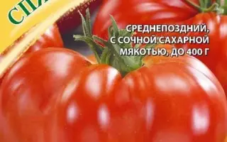 СПЯЩИЙ ГИГАНТ