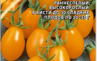 ЧИО-ЧИО-САН ОРАНЖЕВЫЙ