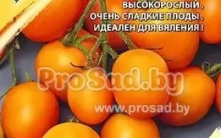 КАСКАД ЗОЛОТОЙ