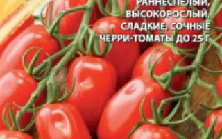 КАСКАД РУБИНОВЫЙ