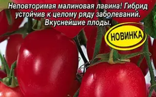 НАПОЛЕОН