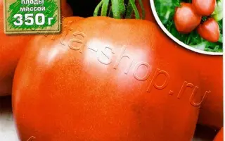 РОЗОВЫЕ КУПОЛА