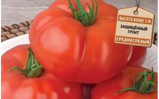 АРМАДА