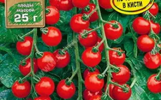 РУССКАЯ КОСА КРАСНАЯ