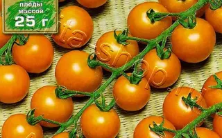 РУССКАЯ КОСА ОРАНЖЕВАЯ