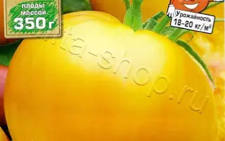 ЖОЗЕФИНА