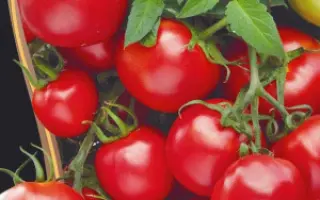 МАРЬИНА РОЩА