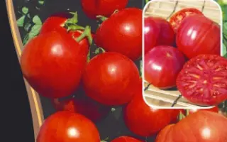 СПАССКАЯ БАШНЯ