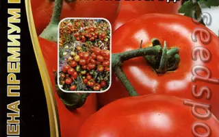 КРАСНАЯ ГВАРДИЯ