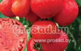 ОГНИ ЧЕЛЯБИНСКА