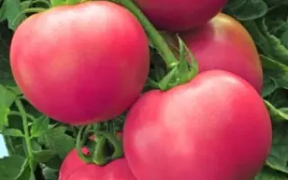 КАСКАДНЫЙ УД