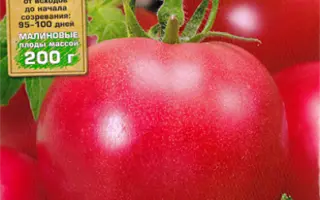 МАЛИНОВЫЙ СМАК