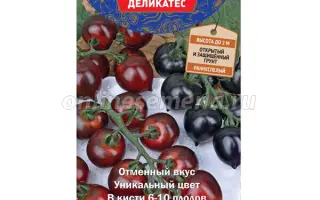 ЧЕРНЫЙ ДРАКОН